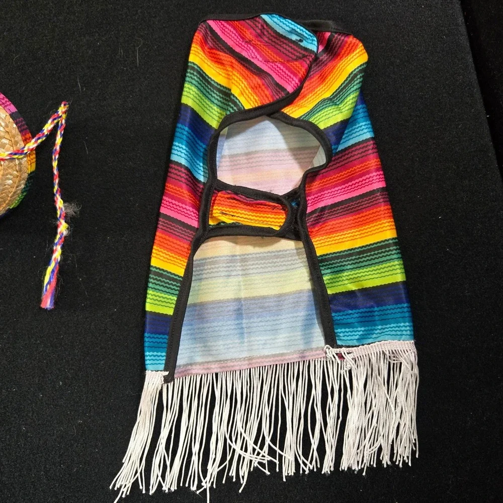 Rainbow Striped Dog Poncho and Sombrero Set Pet Costume Small Medium Festive